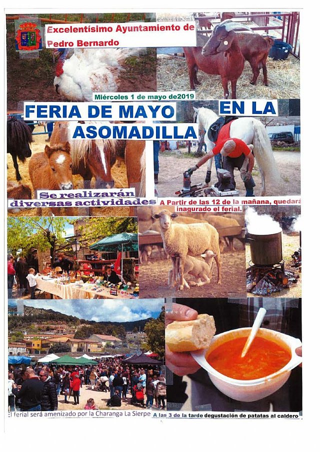 Feria de Mayo en la Asomadilla 2019