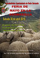 Feria de Mayo en La Asomadilla